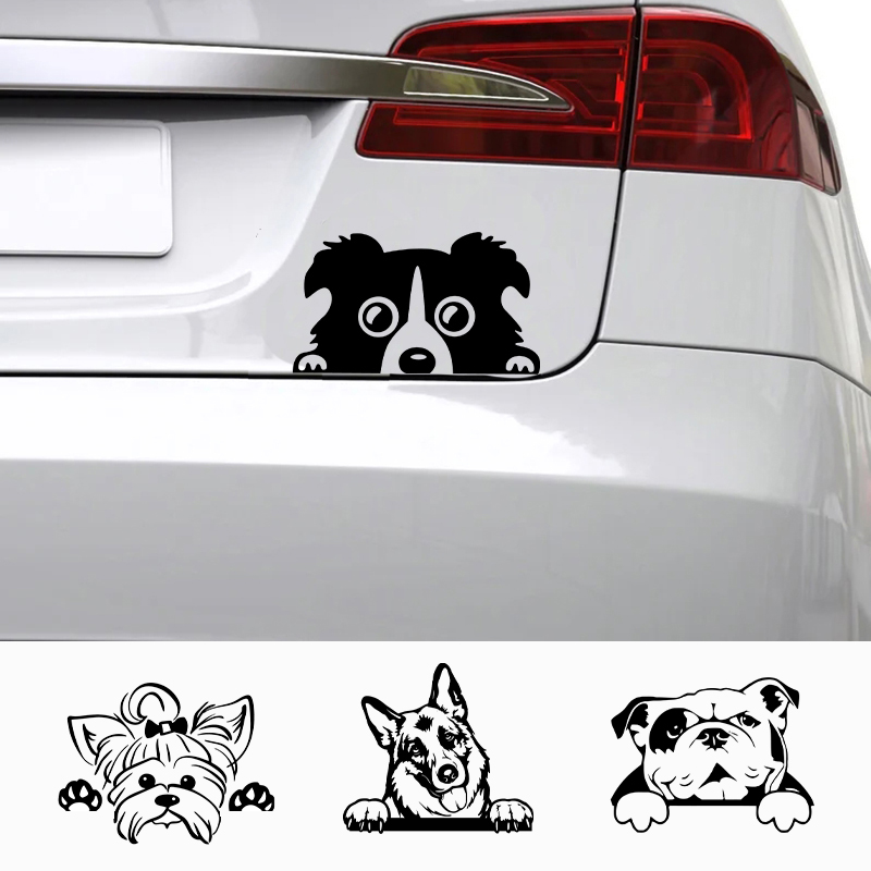 Laptop Accessories Name - Autos Zubehör Aufkleber Lustiger Hund mit