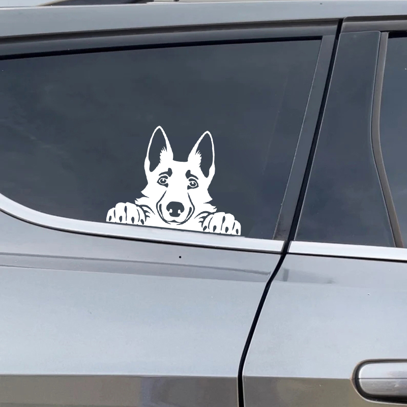 Autos Zubehör Aufkleber Lustig – Laptop Accessories Name Bewertung und Preis